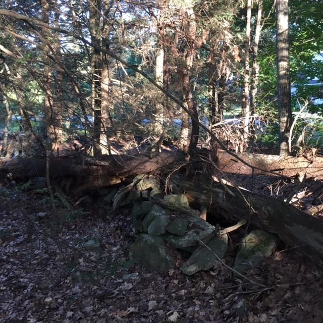 0 Rabbit Run Wells, ME 04090 - Photo 22 of 26 Photo