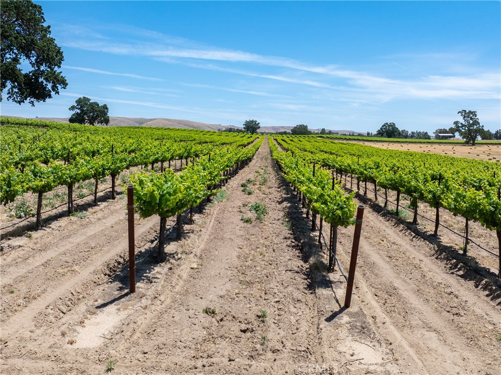 5275 Camp 8 Road Paso Robles, CA 93446 - Photo 26 of 32 a view of a garden with an ocean view