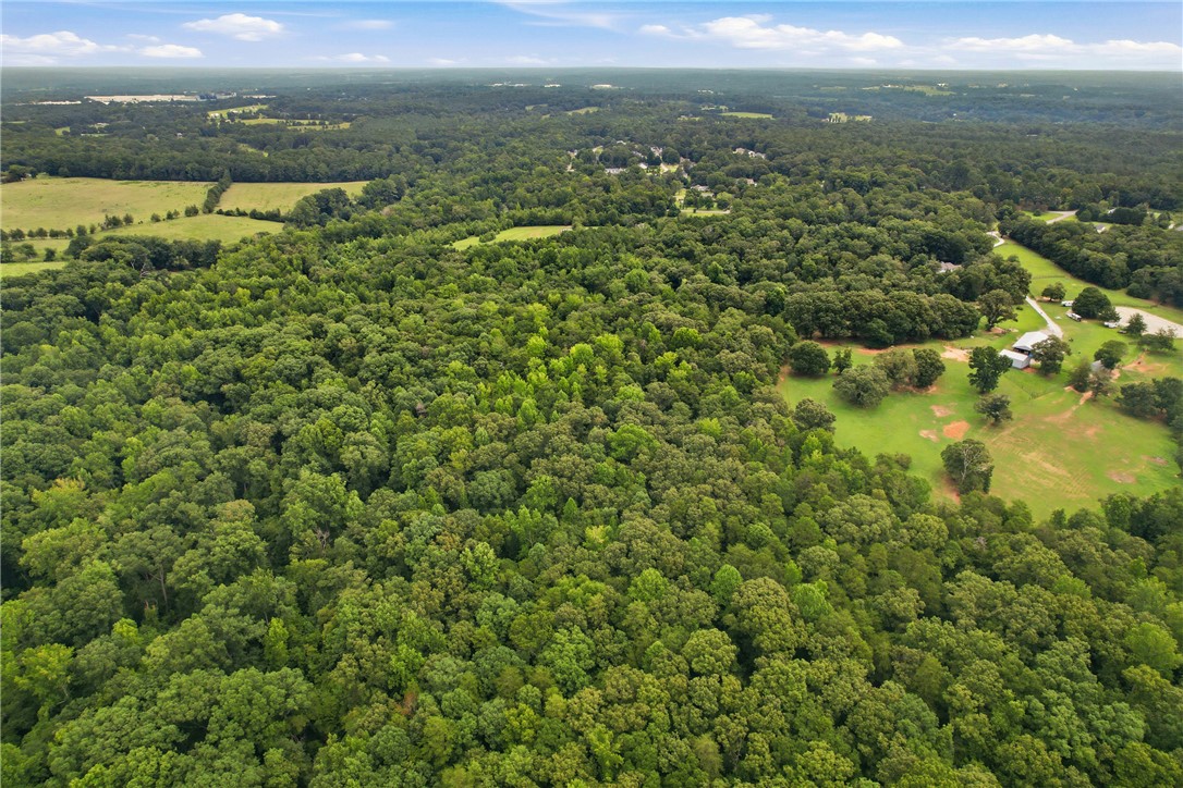 0 Southern Acres Road Anderson, SC 29625 - Photo 11 of 27 A verdant canopy of mature trees blankets this expansive, undeveloped land.