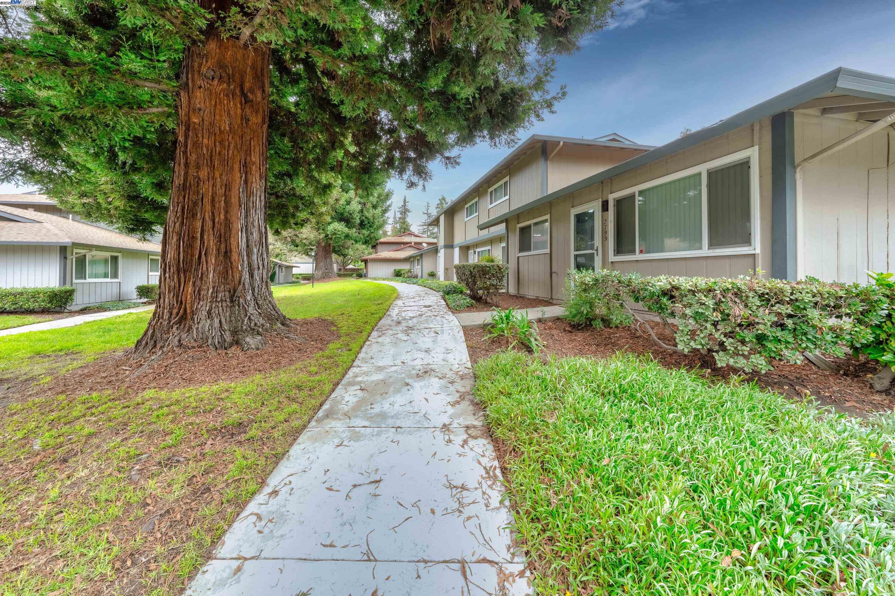 3799 Colet Terrace Fremont, CA 94536 - Photo 2 of 19 a front view of a house with garden