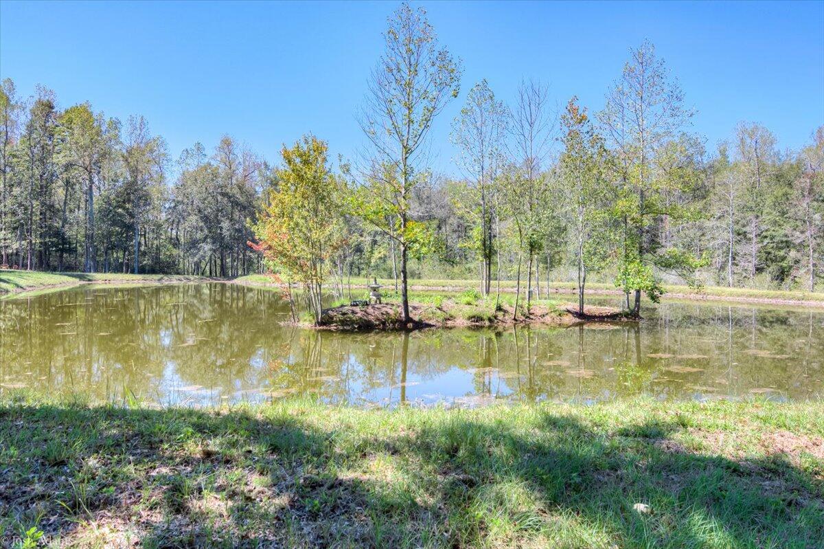 1488 Hatchaway Bridge Road Aiken, SC 29801 - Photo 46 of 65