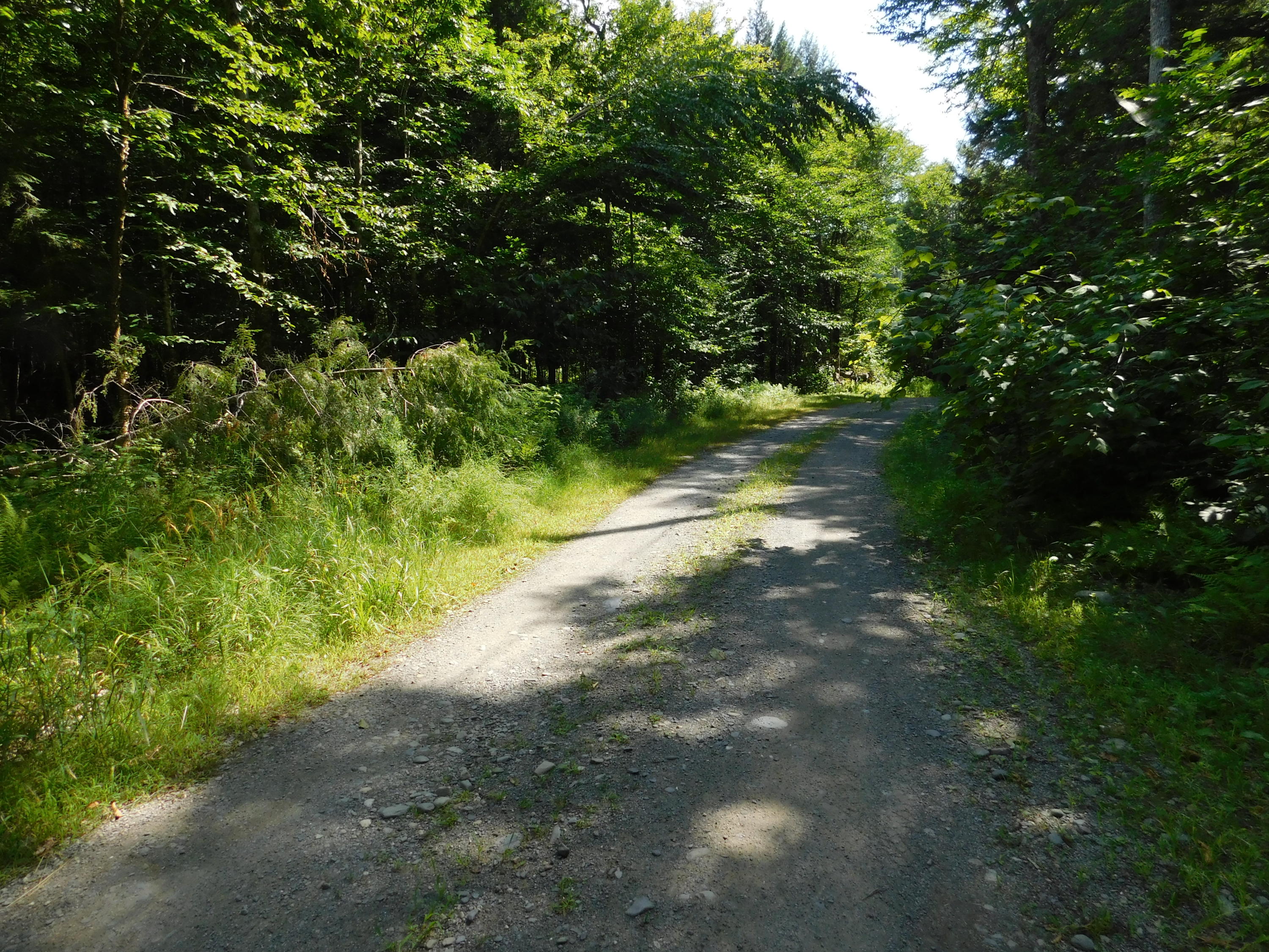 Lot 4 Flag Cove Road Dover-Foxcroft, ME 04426 - Photo 23 of 41 DSCN2227