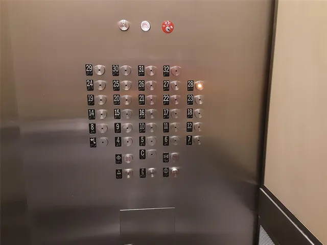 a close up of a plant in a bathroom