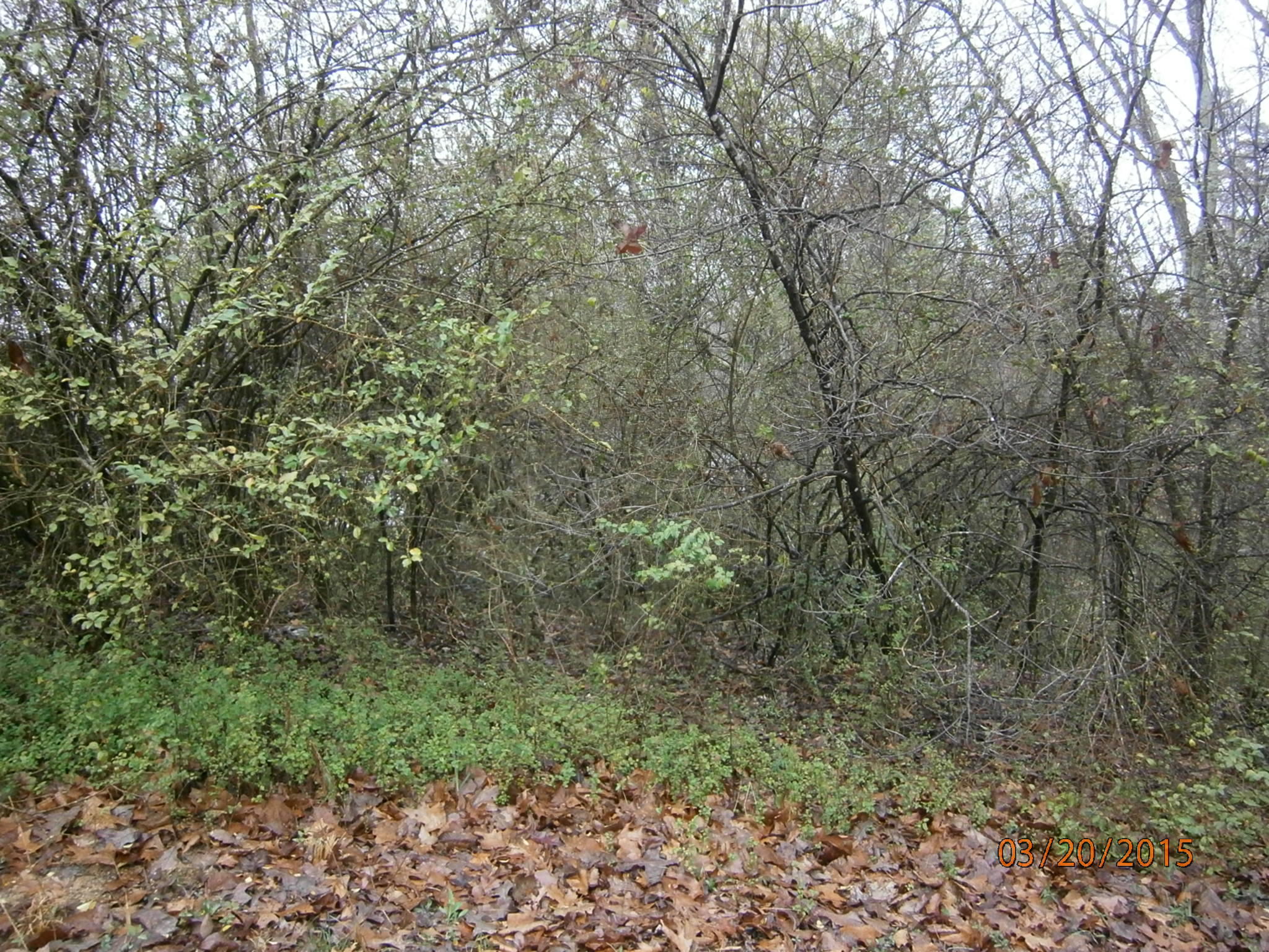 11876 McGhee Road, Unit LOT #2 Apison, TN 37302 - Photo 1 of 1 P3200170.JPG