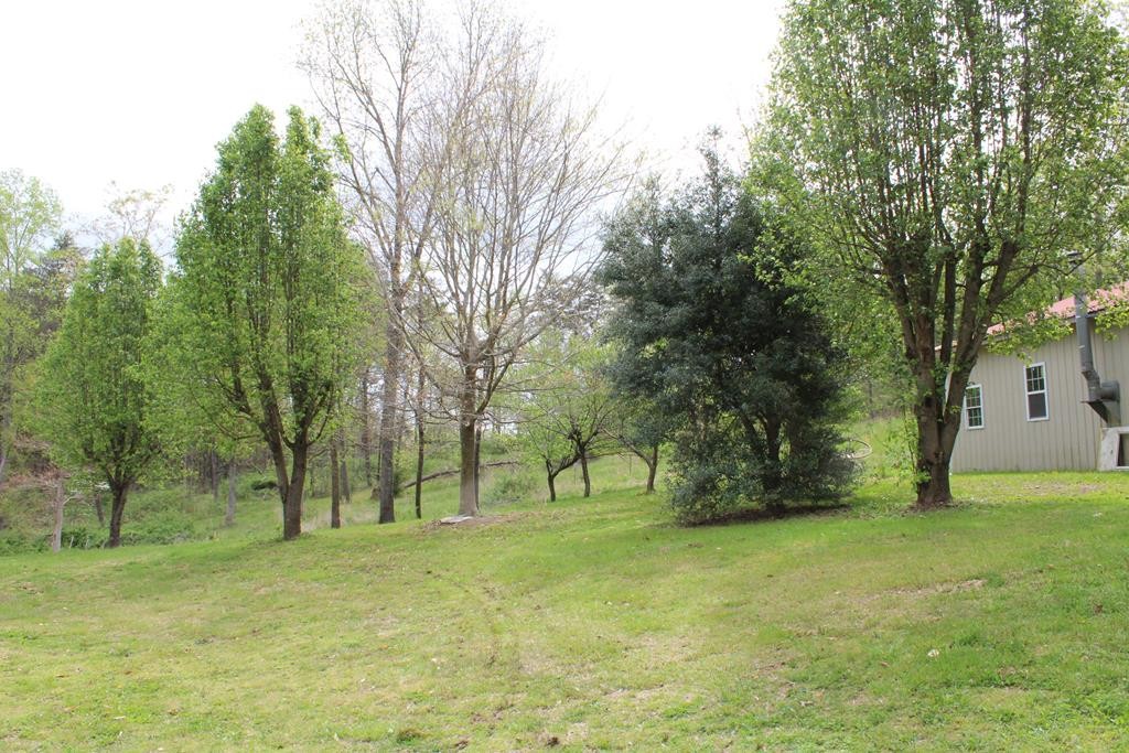 934 Shipley Cemetary Road Sale Creek, TN 37373 - Photo 25 of 31 Gallery Image 25