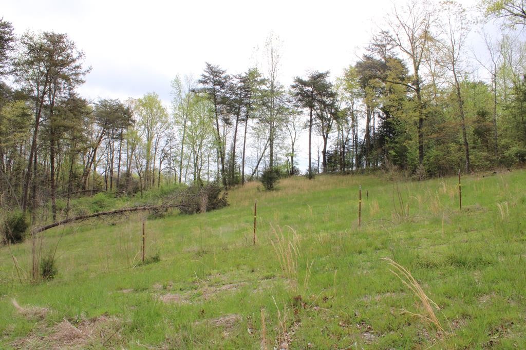 934 Shipley Cemetary Road Sale Creek, TN 37373 - Photo 26 of 31 Gallery Image 26