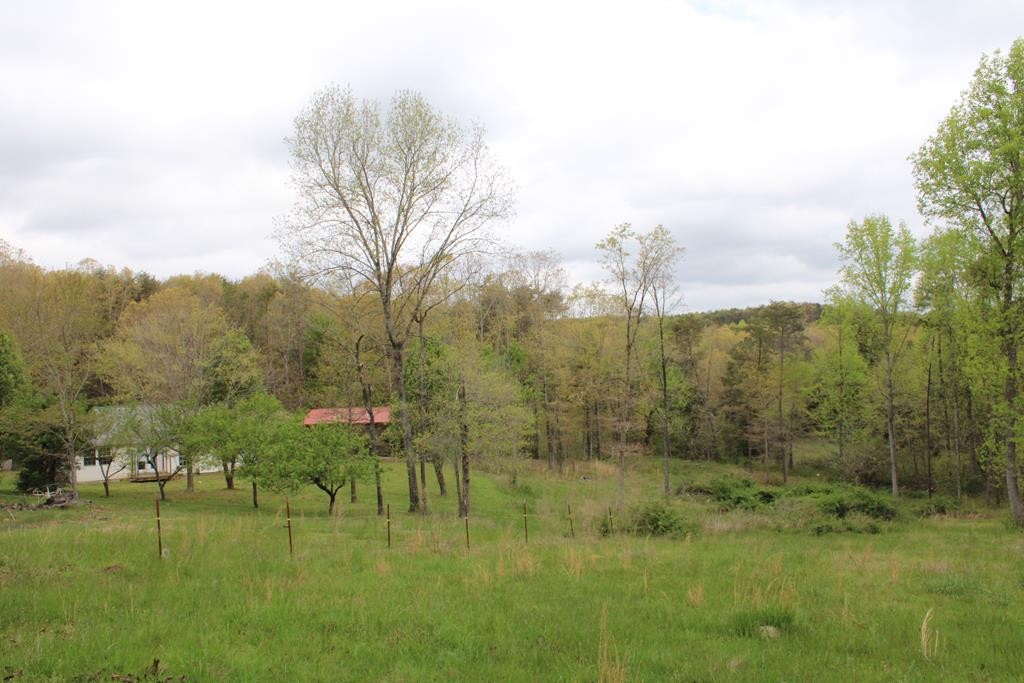 934 Shipley Cemetary Road Sale Creek, TN 37373 - Photo 28 of 31 Gallery Image 28