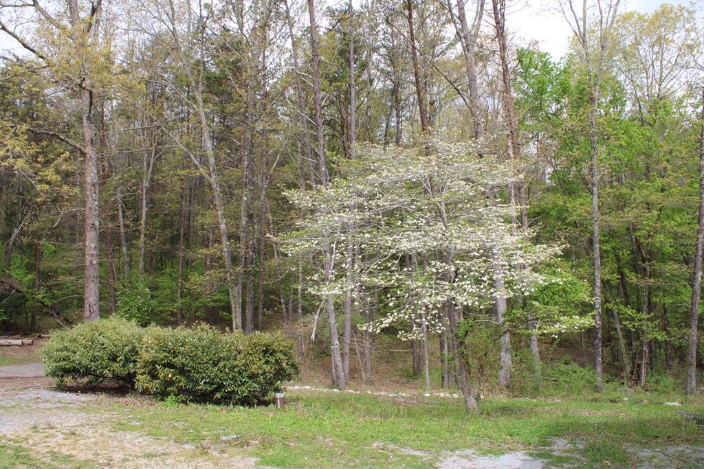 934 Shipley Cemetary Road Sale Creek, TN 37373 - Photo 29 of 31 Gallery Image 29