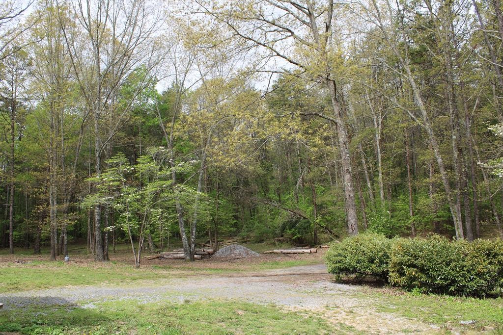 934 Shipley Cemetary Road Sale Creek, TN 37373 - Photo 30 of 31 Gallery Image 30