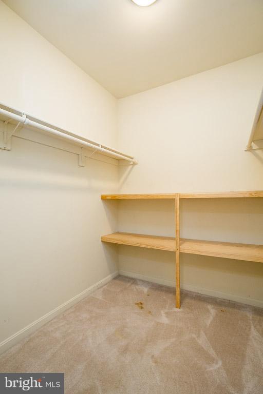 5092 Ebenezer Church Road Midland, VA 22728 - Photo 20 of 30 Walk in Closet Master Suite
