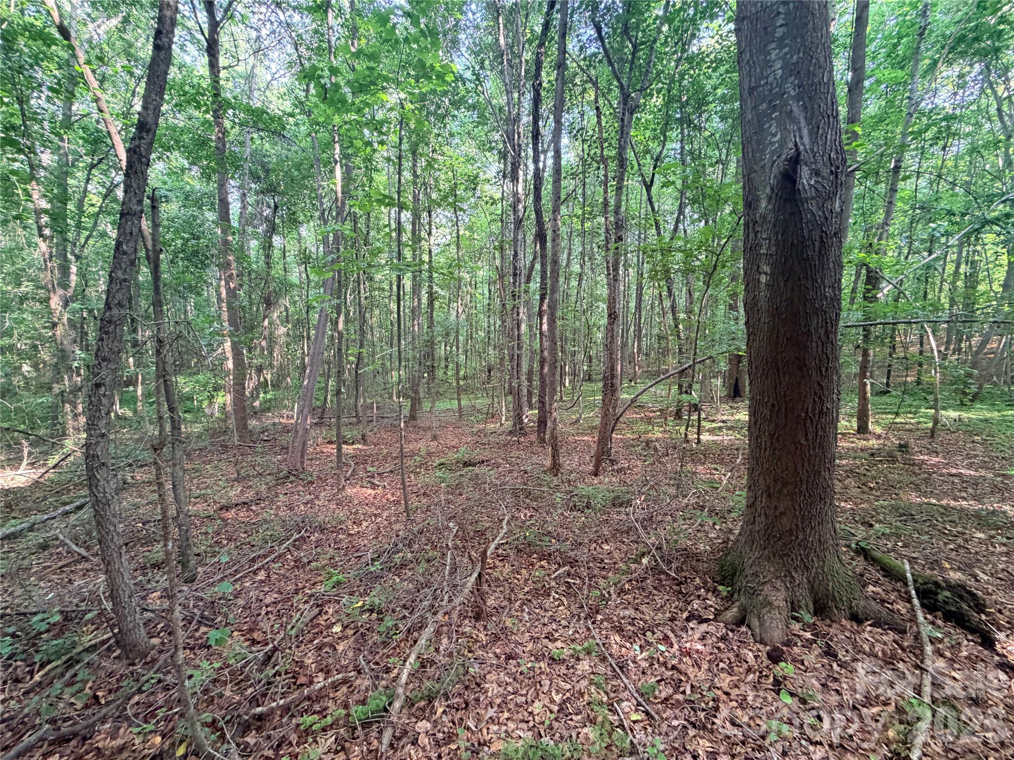 Lot 3 Schenck Farm Road Lawndale, NC 28090 - Photo 6 of 13
