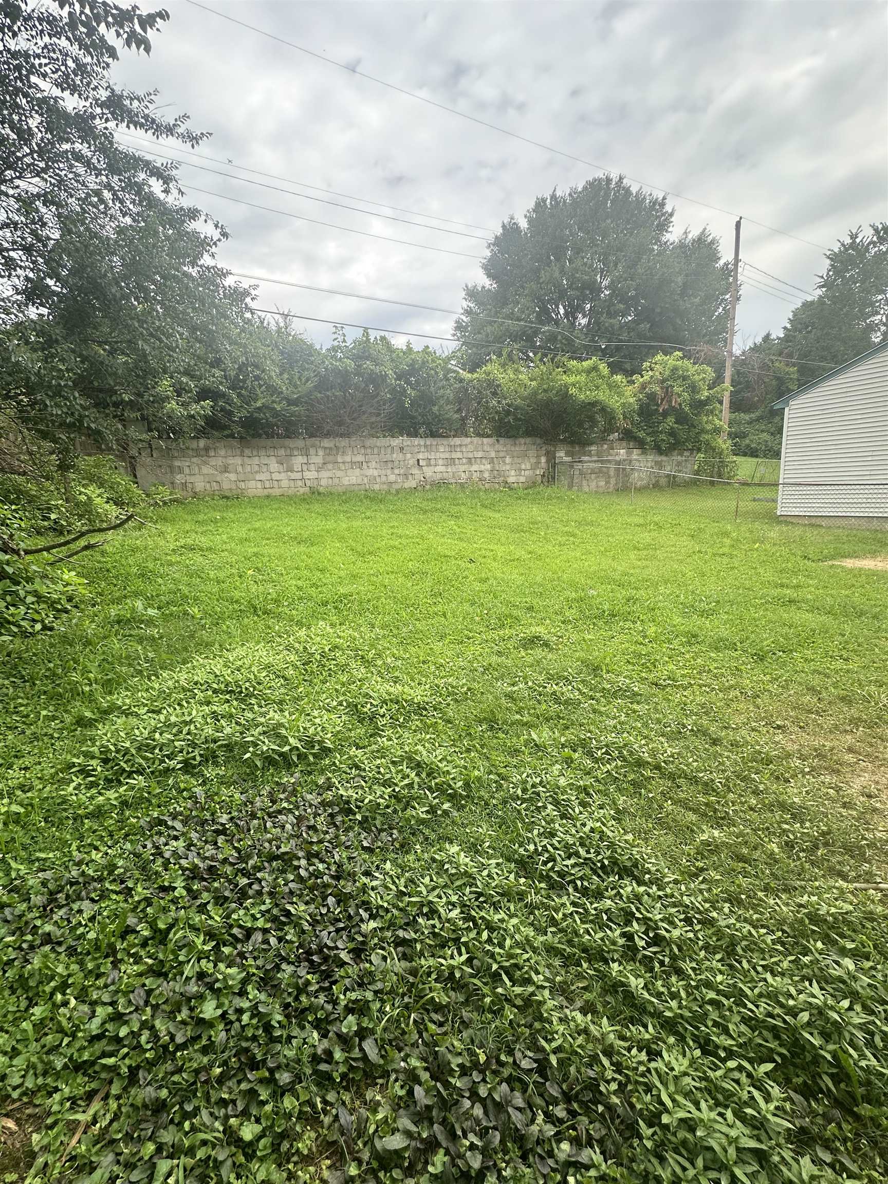 3559 Millard Road Memphis, TN 38109 - Photo 8 of 8 View of yard