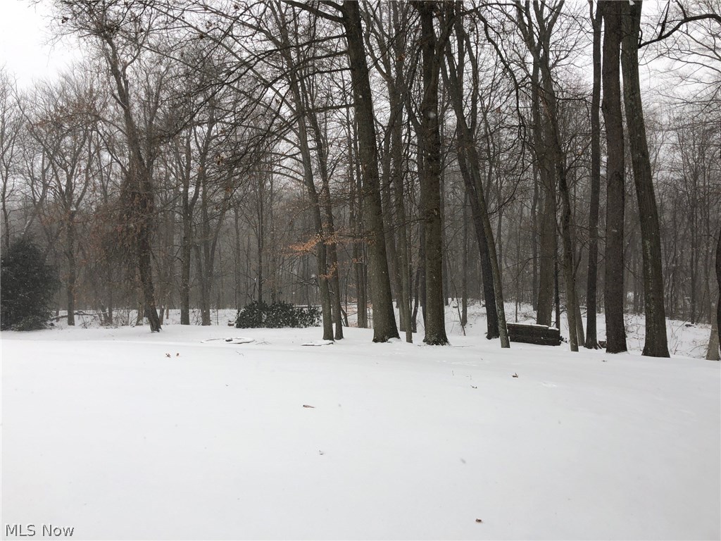 529 Morgan Road Ravenna, OH 44266 - Photo 27 of 27 Gallery Image 27