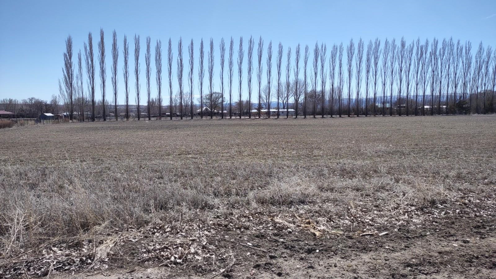 3465 G Road Clifton, CO 81520 - Photo 17 of 18 a view of wooden fence