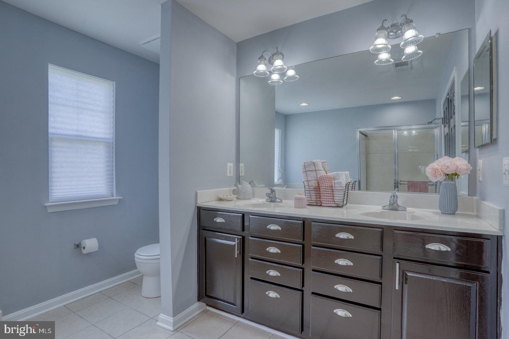305 Appleby School Road Cambridge, MD 21613 - Photo 35 of 53 a bathroom with a granite countertop sink a toilet and a mirror
