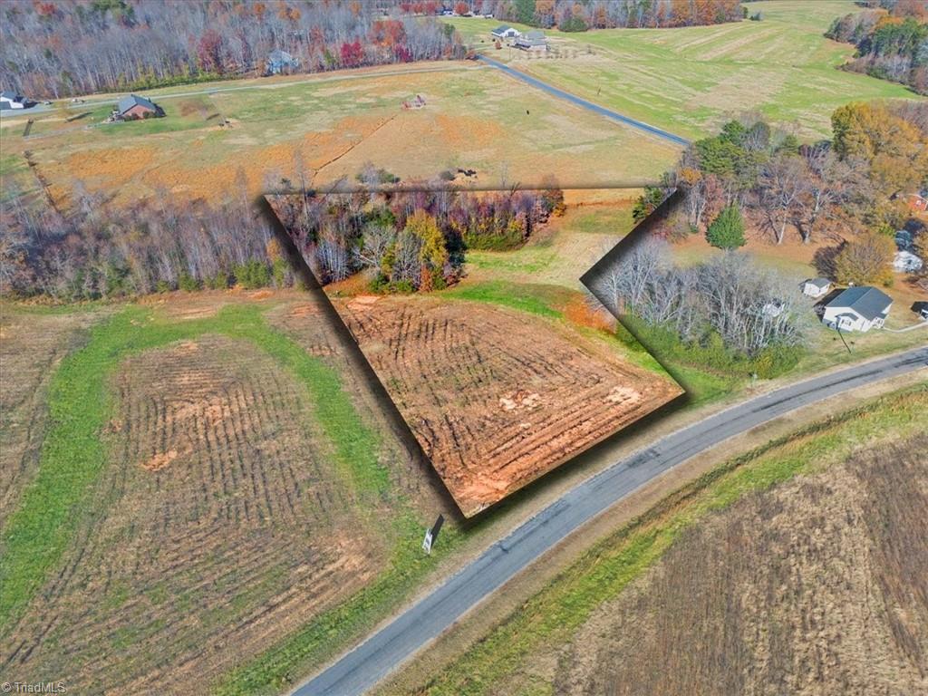 131 Pearson Farm Road Summerfield, NC 27358 - Photo 2 of 13