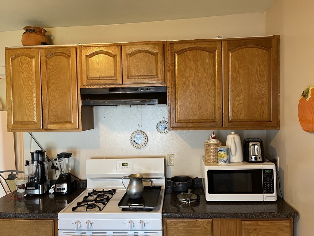 33 Hebron Street Springfield, MA 01107 - Photo 20 of 39 Gallery Image 20