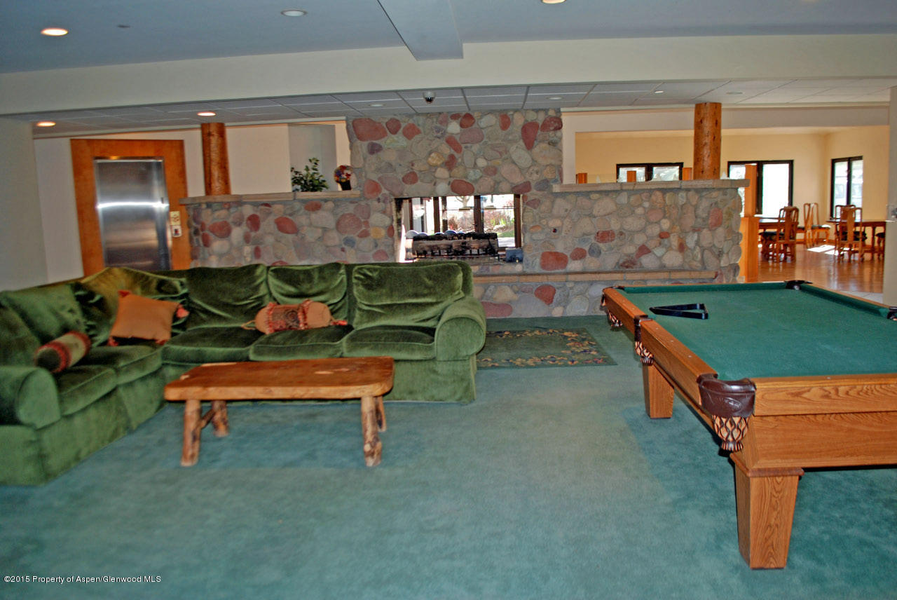 1400 East Valley Road, Unit 118 Basalt, CO 81621 - Photo 15 of 21 DSC_0263_edited-1.jpg