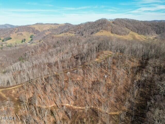 Tbd Fred Wallace Road Trade, TN 37691 - Photo 15 of 24 thumbnail_Bumgardner-21