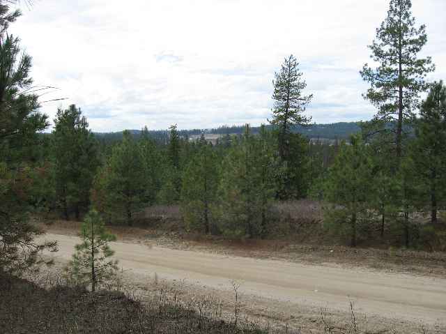 0 East Laurel Road Chattaroy, WA 99003 - Photo 1 of 4