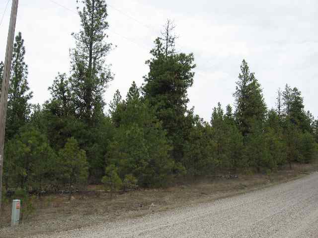 0 East Laurel Road Chattaroy, WA 99003 - Photo 2 of 4
