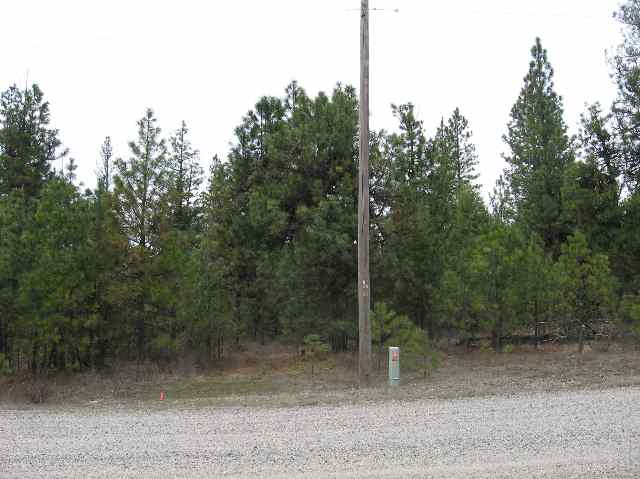 0 East Laurel Road Chattaroy, WA 99003 - Photo 3 of 4