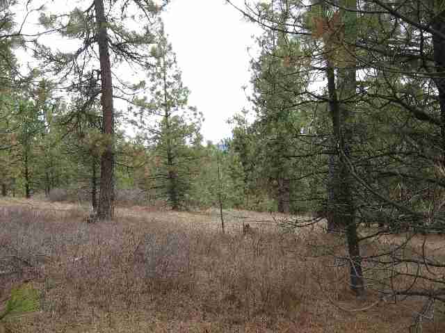 0 East Laurel Road Chattaroy, WA 99003 - Photo 4 of 4