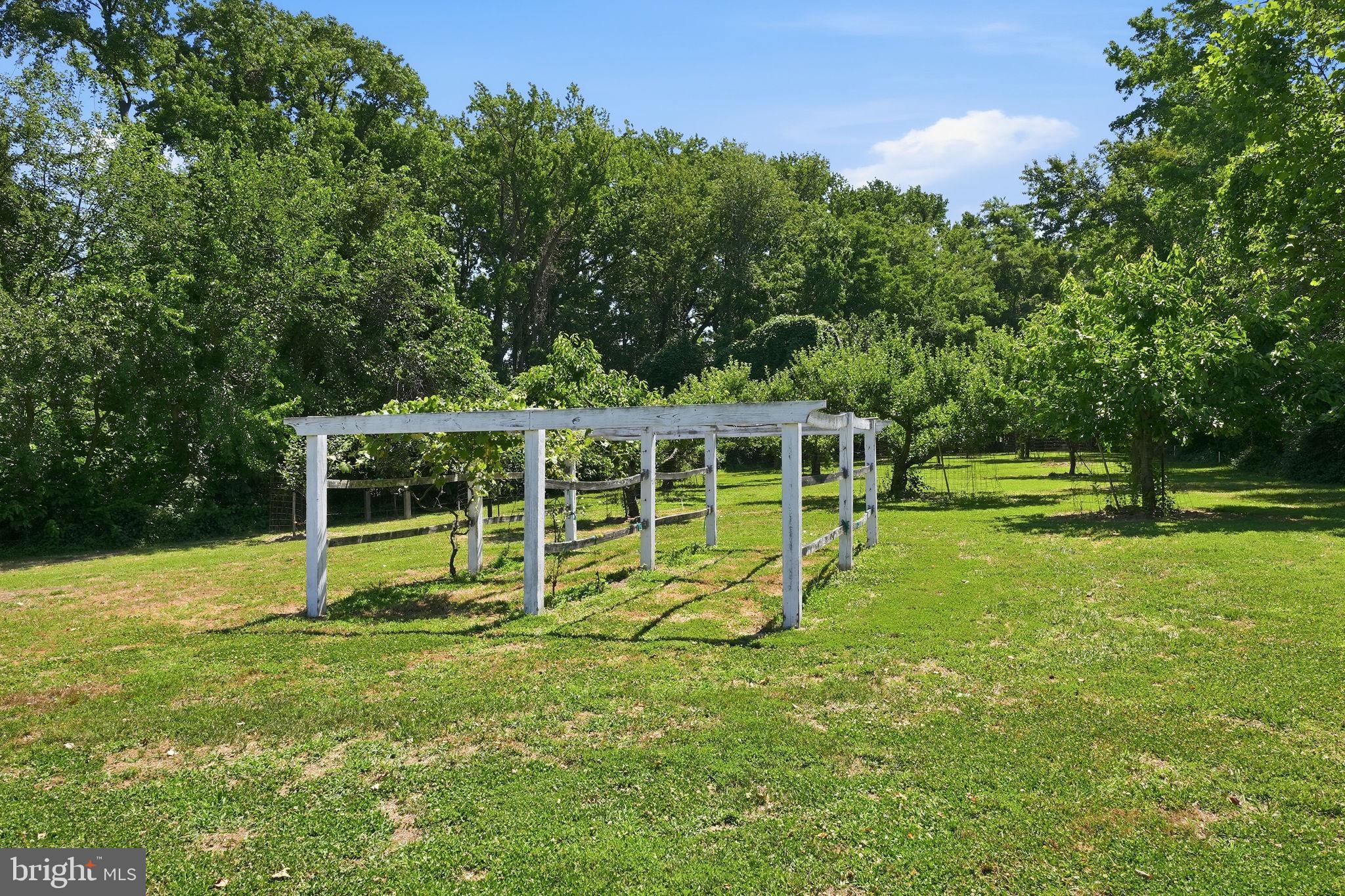 1810 Love Point Road Stevensville, MD 21666 - Photo 80 of 85