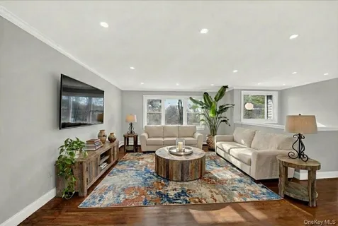 a living room with furniture and a potted plant