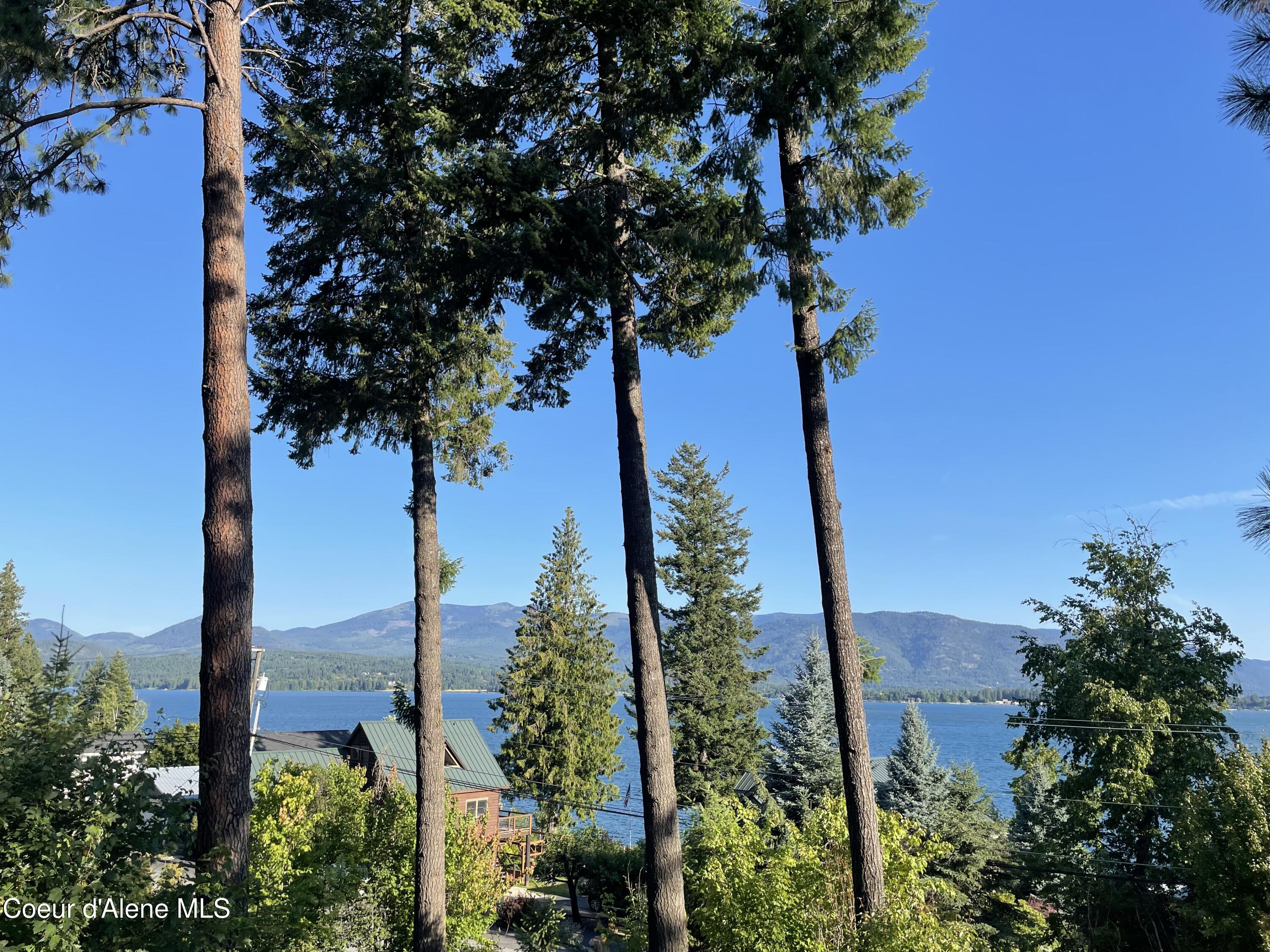 16 Hawkins Road Sagle, ID 83860 - Photo 108 of 110 Lake View