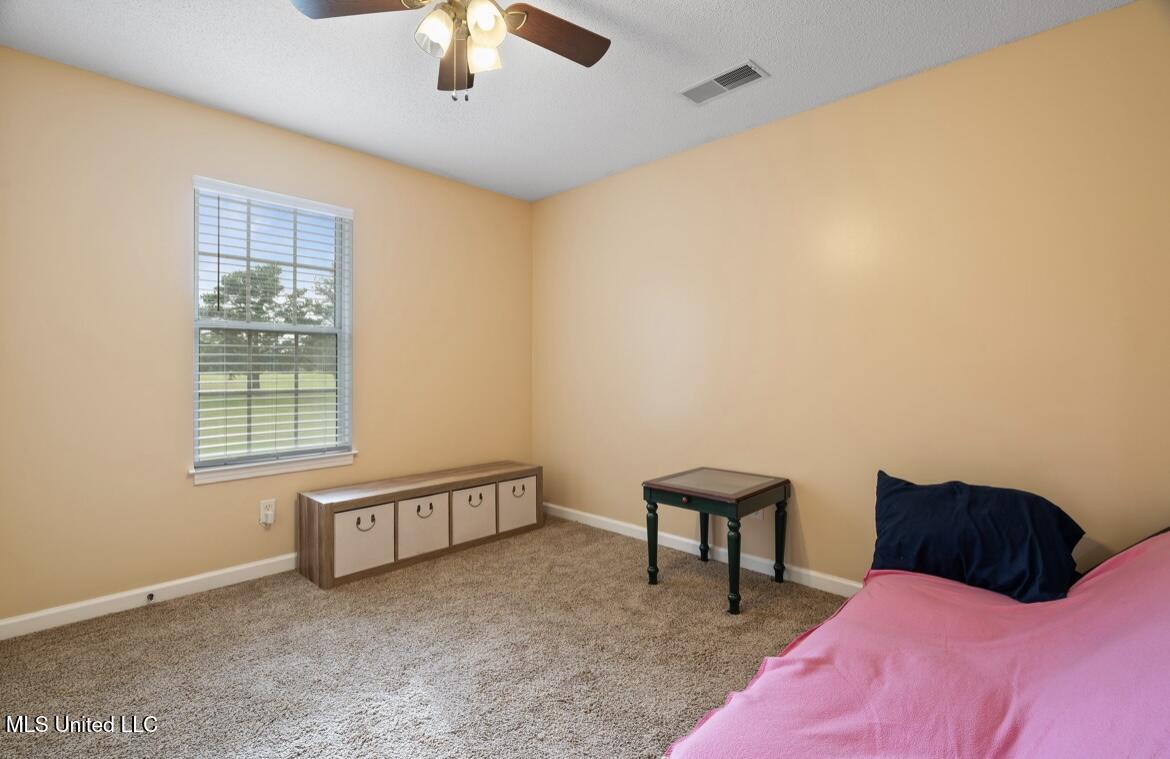 7669 Meadow Ridge Lane Olive Branch, MS 38654 - Photo 20 of 27 IMG_0691
