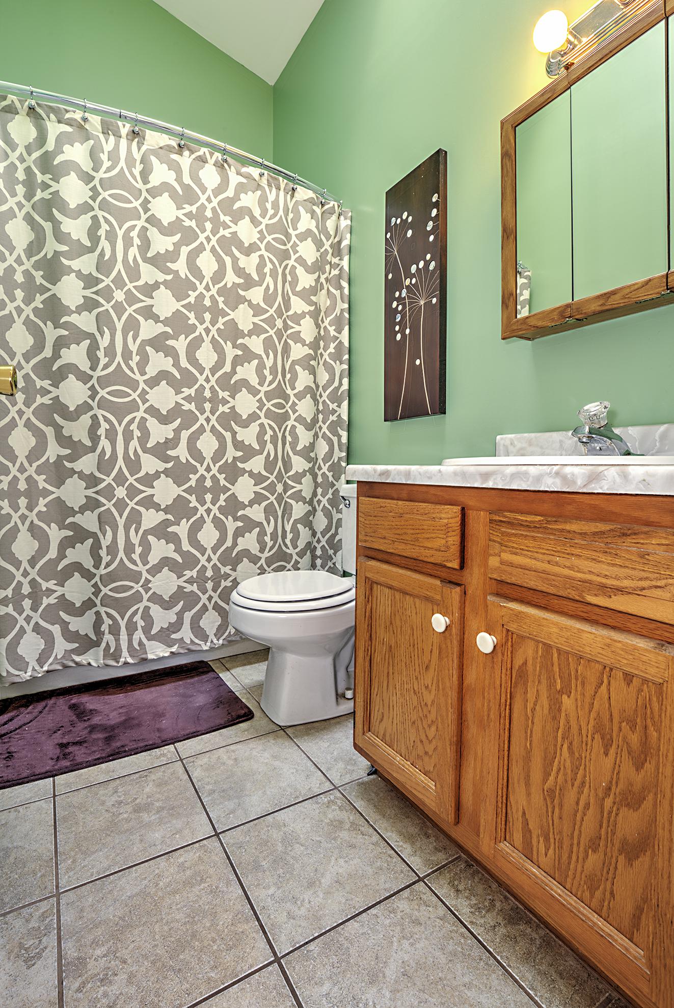 3736 Bear Road Southeast Roanoke, VA 24014 - Photo 7 of 10 Full Bath