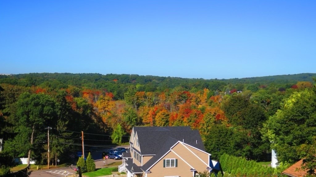 24 Crescent Road, Unit 1 Needham, MA 02494 - Photo 18 of 20 an aerial view of a house with a lake view