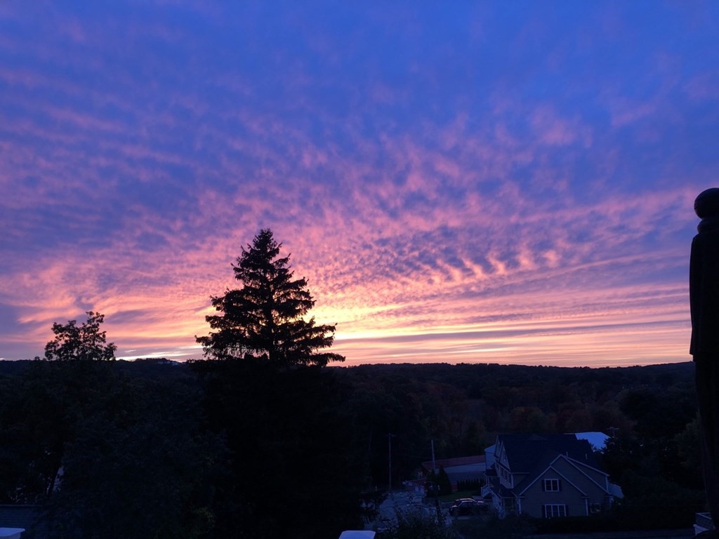 24 Crescent Road, Unit 1 Needham, MA 02494 - Photo 20 of 20 a view of sunset