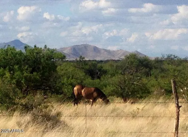 a view of swimming pool from a lake view