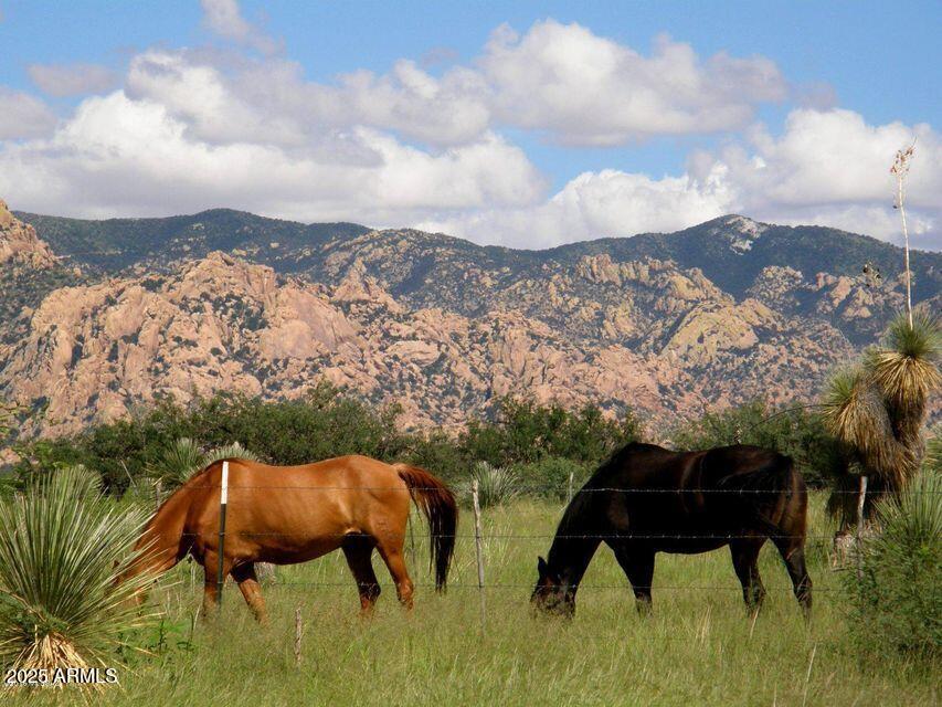 M223 East Cougar Trail, Unit 223 St. David, AZ 85630 - Photo 12 of 22 a view of a yard in front of a house