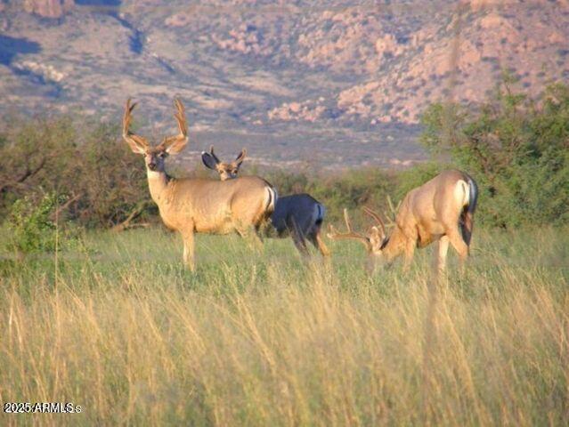 M223 East Cougar Trail, Unit 223 St. David, AZ 85630 - Photo 17 of 22 a picture of a lake view