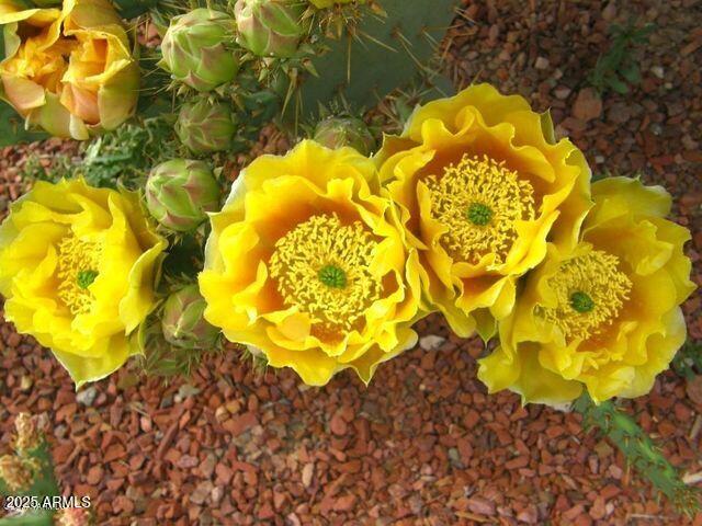 M223 East Cougar Trail, Unit 223 St. David, AZ 85630 - Photo 18 of 22 a bathroom with a swimming pool