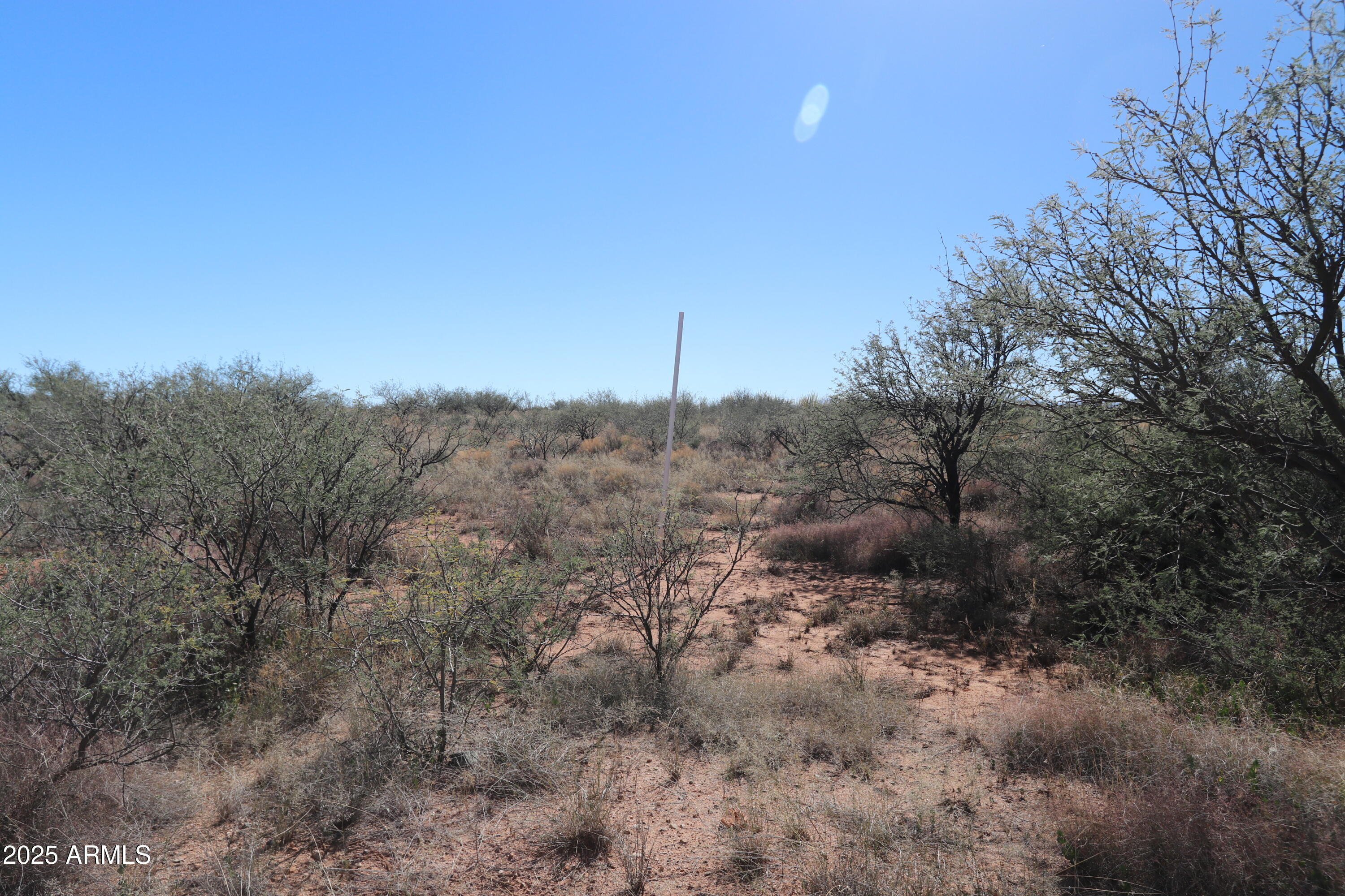 M223 East Cougar Trail, Unit 223 St. David, AZ 85630 - Photo 5 of 22 a view of a field