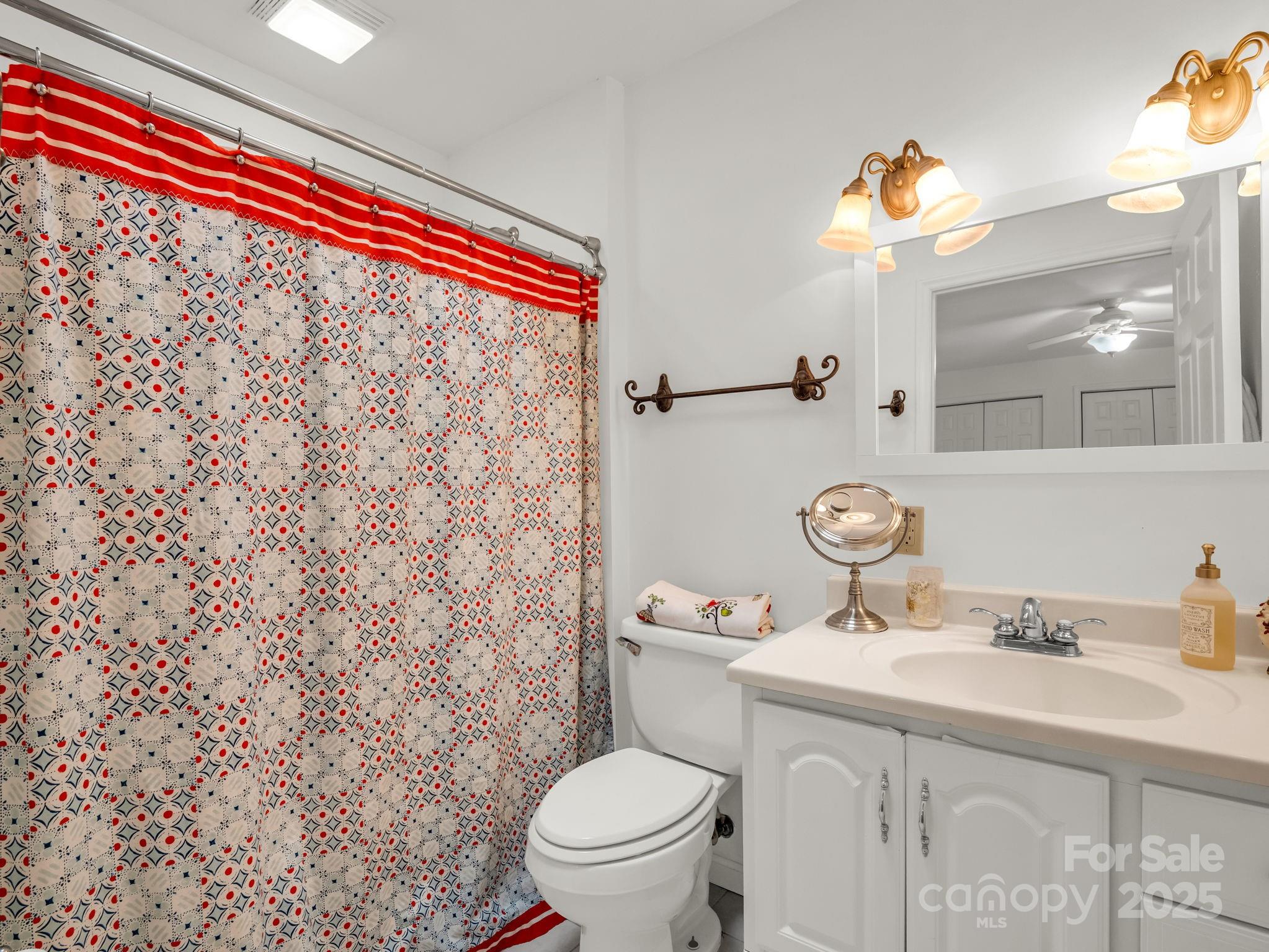 1145 Bearwallow Mountain Road Hendersonville, NC 28792 - Photo 17 of 48 a bathroom with a sink a toilet and a mirror