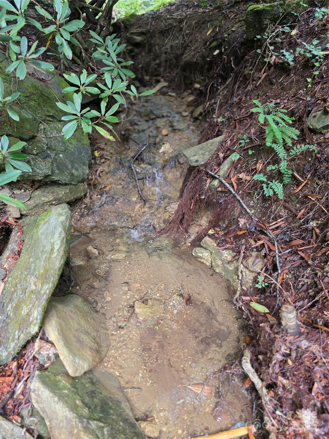 1145 Bearwallow Mountain Road Hendersonville, NC 28792 - Photo 40 of 48 a view of a plant with a tree
