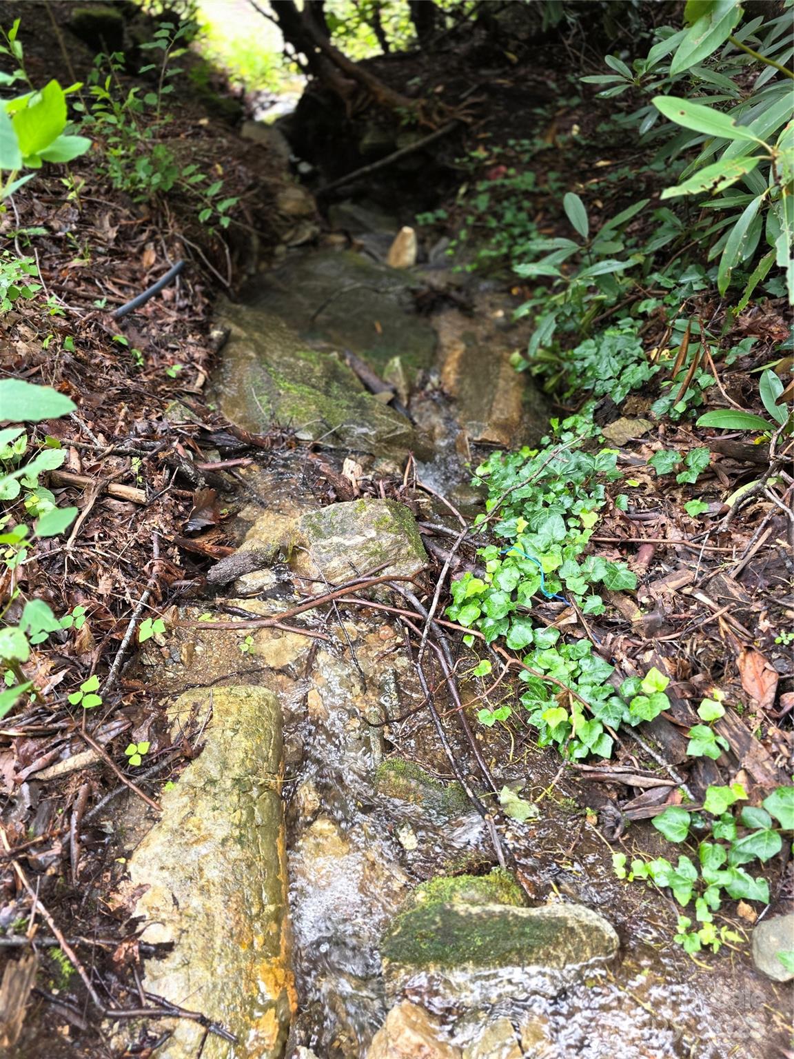 1145 Bearwallow Mountain Road Hendersonville, NC 28792 - Photo 41 of 48