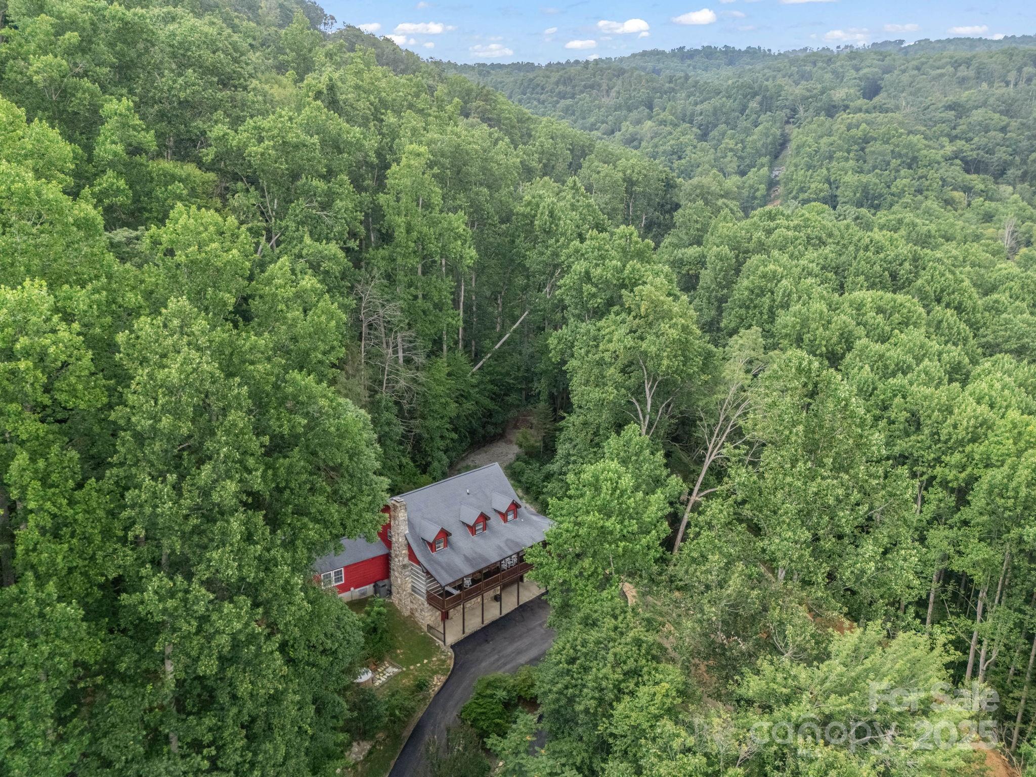 1145 Bearwallow Mountain Road Hendersonville, NC 28792 - Photo 42 of 48 an aerial view of a red house with a yard