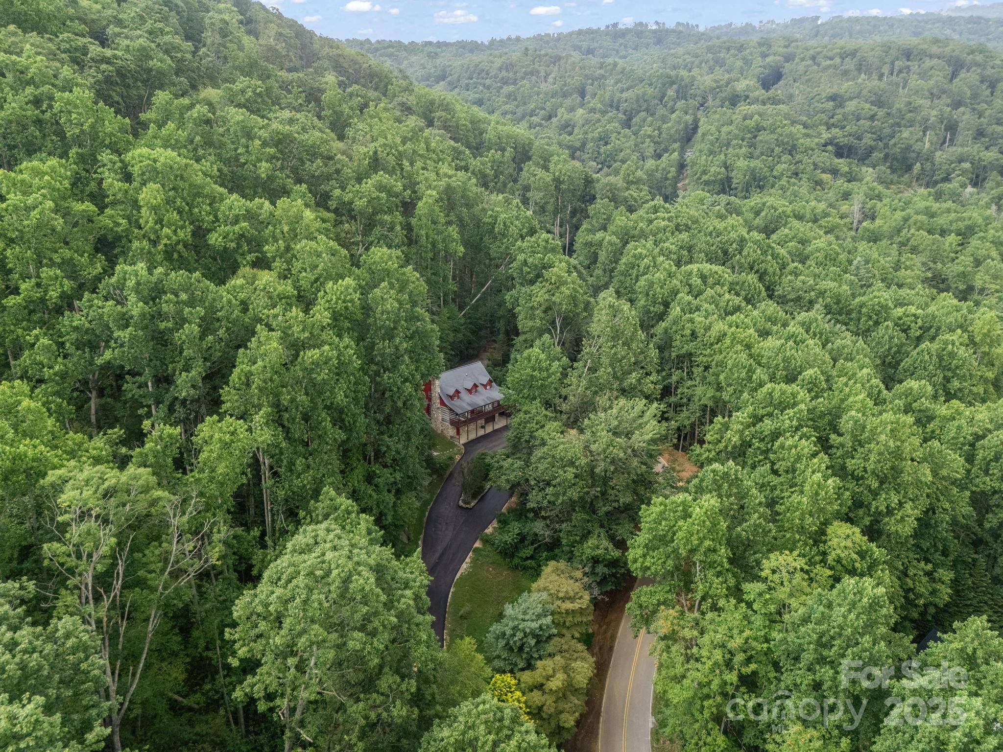 1145 Bearwallow Mountain Road Hendersonville, NC 28792 - Photo 43 of 48 a view of a forest with a street