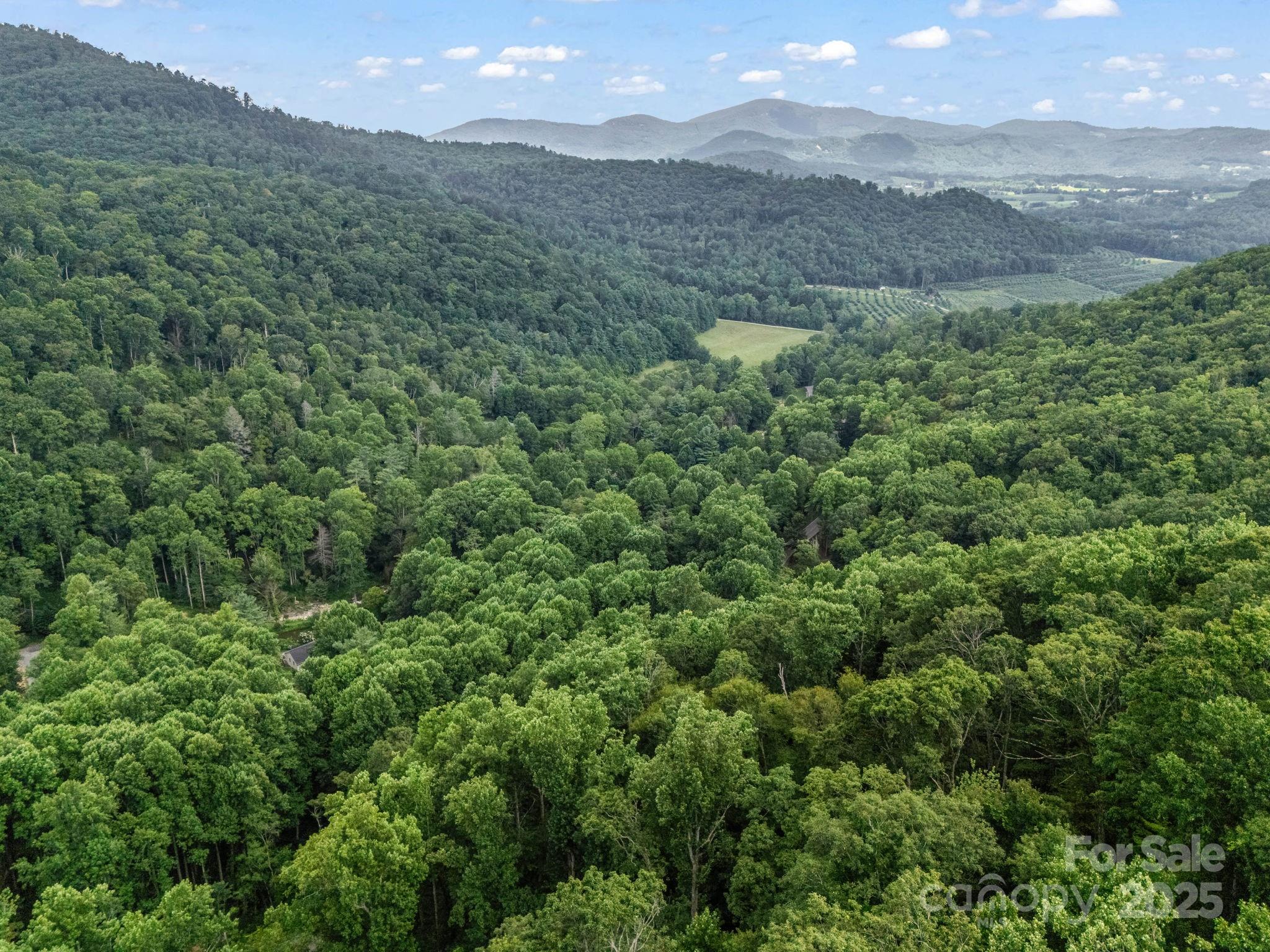 1145 Bearwallow Mountain Road Hendersonville, NC 28792 - Photo 44 of 48 a view of a forest with a mountain