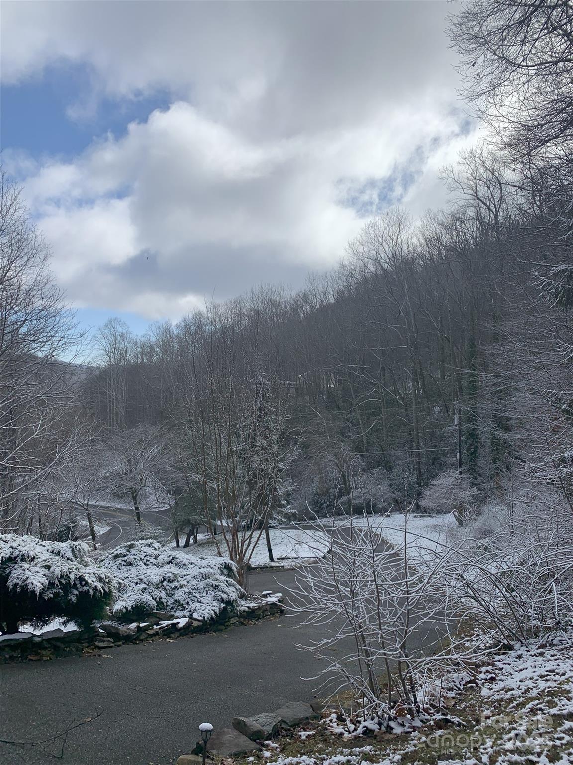 1145 Bearwallow Mountain Road Hendersonville, NC 28792 - Photo 45 of 48 a view of a backyard of the house
