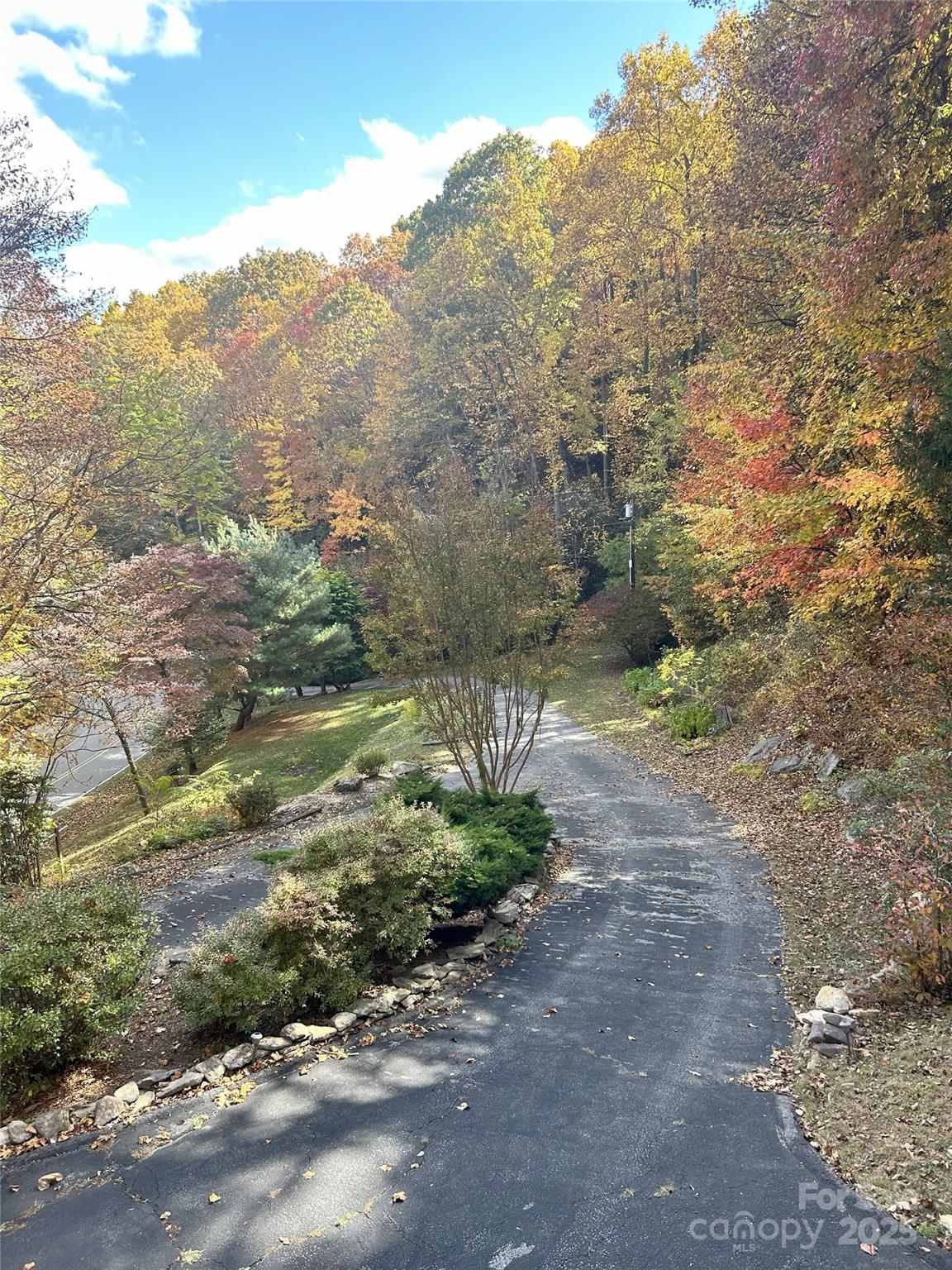 1145 Bearwallow Mountain Road Hendersonville, NC 28792 - Photo 47 of 48 a view of a yard with a tree