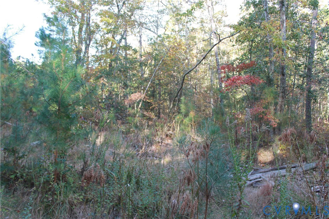 Tbd East River Road Cardinal, VA 23025 - Photo 20 of 49 a view of a yard