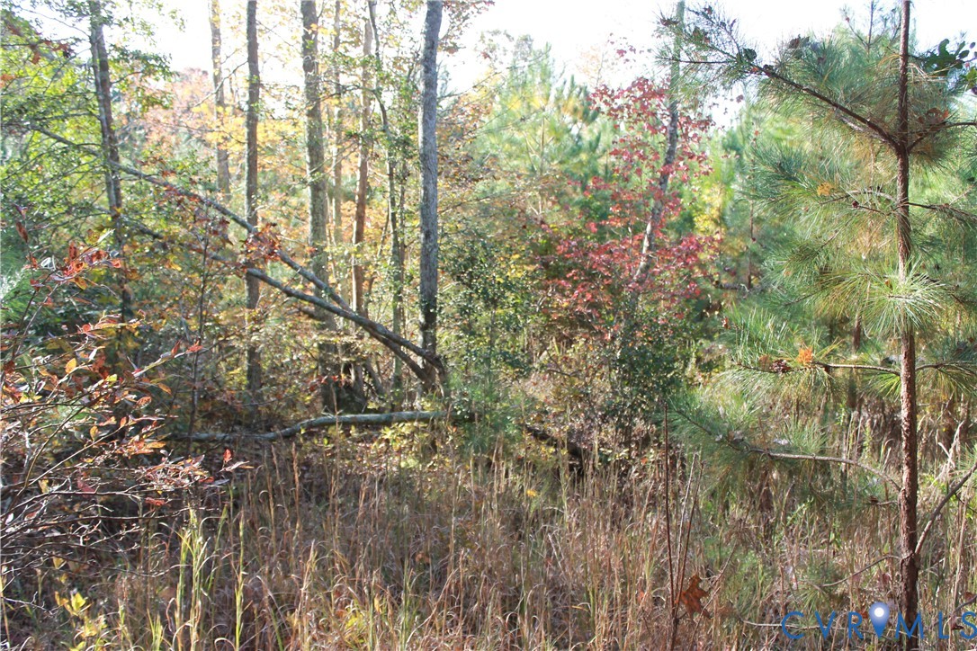 Tbd East River Road Cardinal, VA 23025 - Photo 29 of 49 a backyard of a house with lots of green space