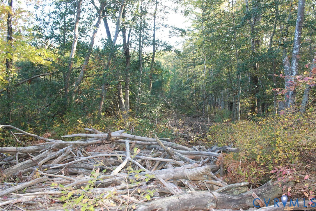 Tbd East River Road Cardinal, VA 23025 - Photo 40 of 49 a backyard of a house with lots of green space and trees all around